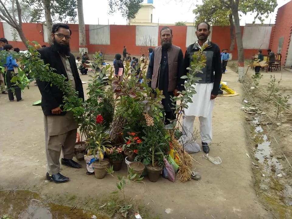 Green Seekers Activity